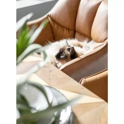 Discount Armlehnstuhl Thinktank Braun Stühle