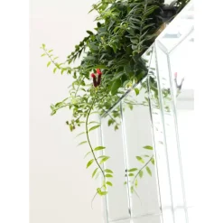 Barschrank Luxury Bars