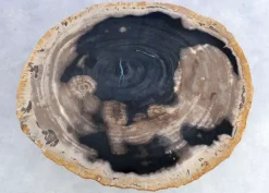 New Beistelltisch Gamma Versteinertes Holz Tische