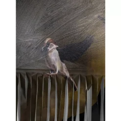 Sale Bild Frame Gentleman Cuts 130X163Cm Bilder