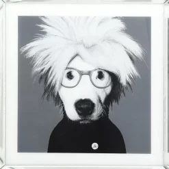 Best Bild Frame Mirror Artist Dog 60X60 Bilder