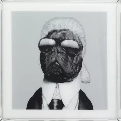 Sale Bild Frame Mirror Designer Dog 60X60 Bilder