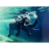 Online Bild Glas Swimming Elephant 180X120Cm Bilder