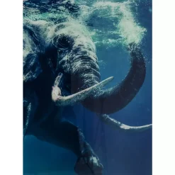 Online Bild Glas Swimming Elephant 180X120Cm Bilder