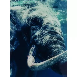 Online Bild Glas Swimming Elephant 180X120Cm Bilder