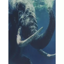 Online Bild Glas Swimming Elephant 180X120Cm Bilder