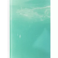 Online Bild Glas Swimming Elephant 180X120Cm Bilder