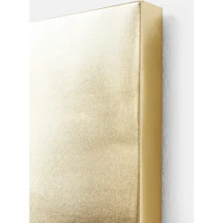 Online Bild Touched Dog With Pineapple 80X80Cm Bilder