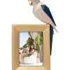 New Bilderrahmen Origami Parrot 10X15Cm Deko & Geschenkartikel