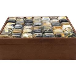 Outlet Box Texas Gros Aufbewahrung & Ordnung