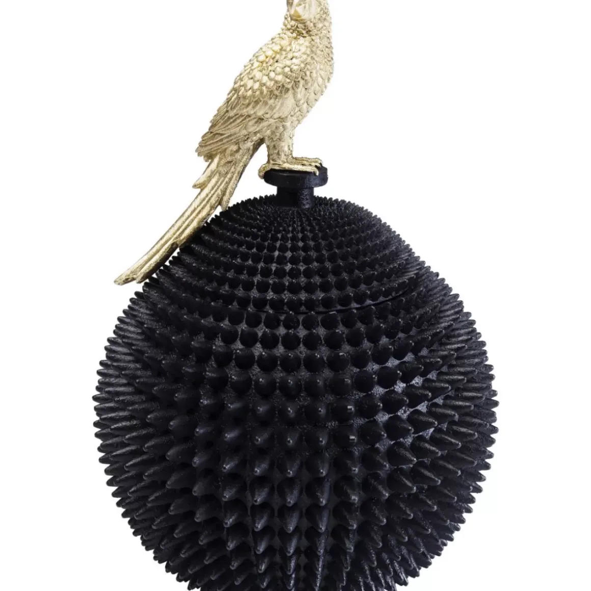 Online Deko Dose Parrot Deko & Geschenkartikel