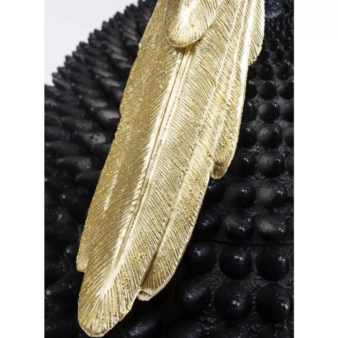 Online Deko Dose Parrot Deko & Geschenkartikel