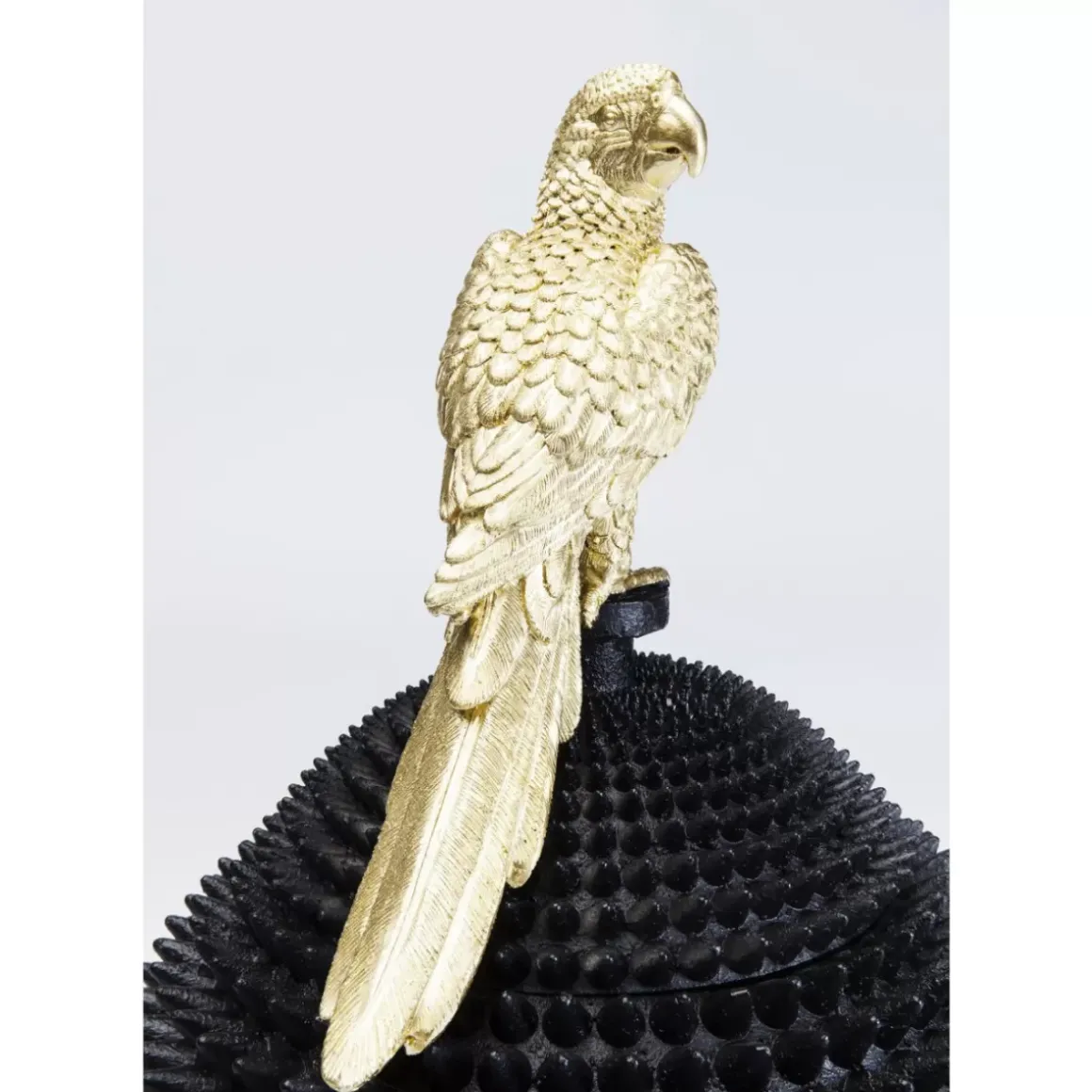 Online Deko Dose Parrot Deko & Geschenkartikel