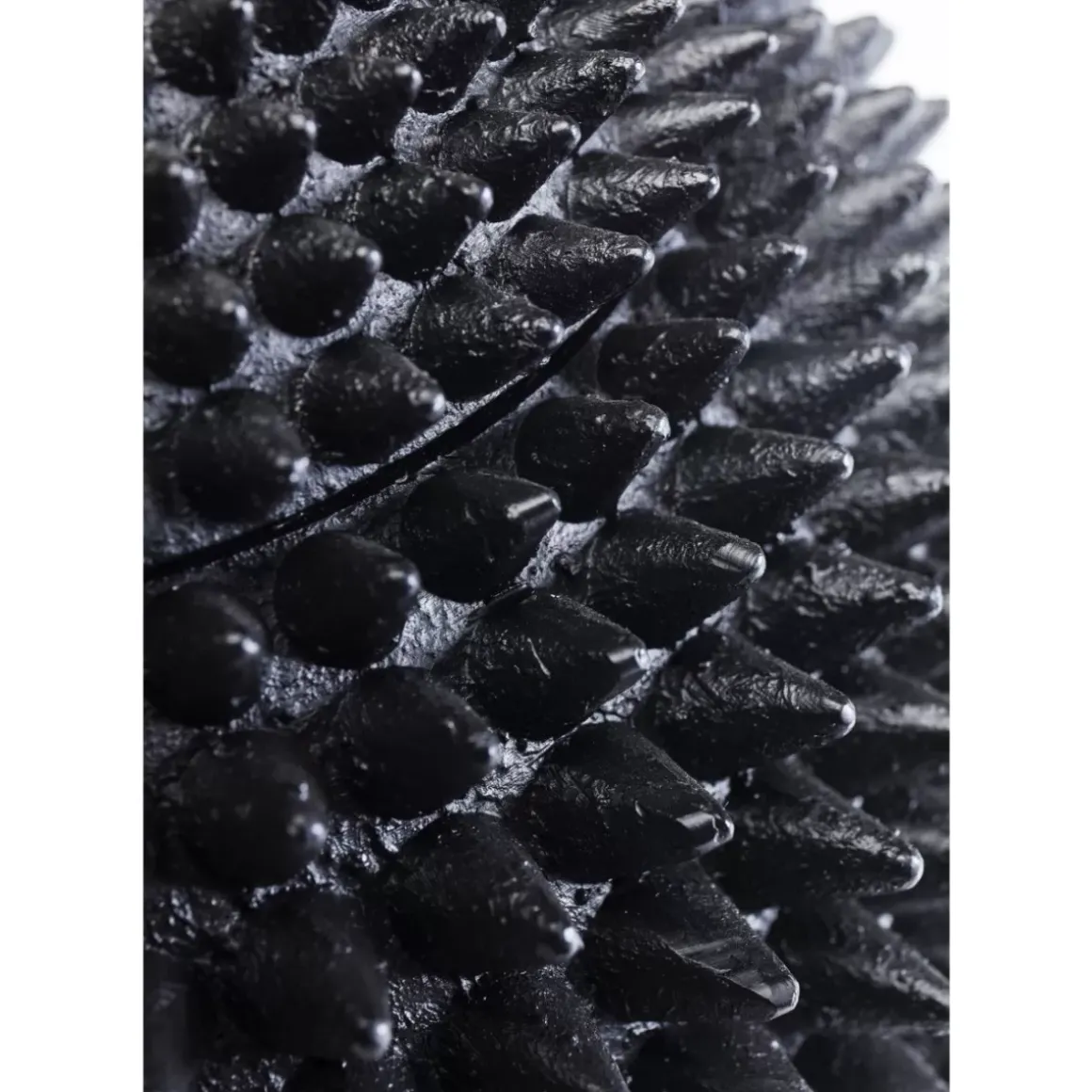 Online Deko Dose Parrot Deko & Geschenkartikel