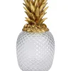 Hot Deko Dose Pineapple Visible Deko & Geschenkartikel