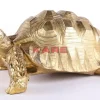 New Deko Figur Turtle Gold Gros Deko & Geschenkartikel