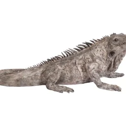 Best Deko Objekt Iguana 135Cm Deko & Geschenkartikel