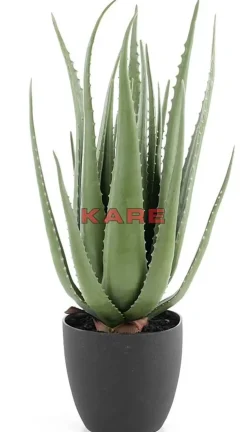 Best Deko Pflanze Aloe 69Cm Deko & Geschenkartikel