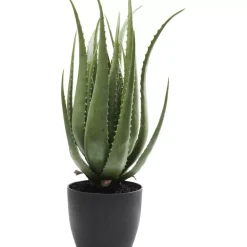 Best Deko Pflanze Aloe 69Cm Deko & Geschenkartikel