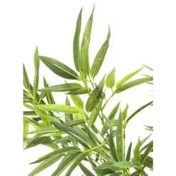 Deko Pflanze Bamboo Tree 200Cm Deko & Geschenkartikel