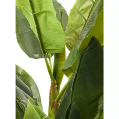 Deko Pflanze Banana Tree 180Cm Deko & Geschenkartikel