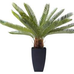 Online Deko Pflanze Cycas Tree 78Cm Deko & Geschenkartikel