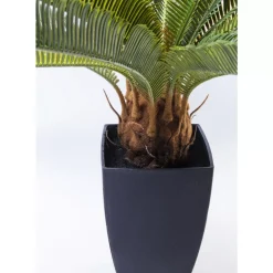 Online Deko Pflanze Cycas Tree 78Cm Deko & Geschenkartikel