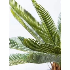 Online Deko Pflanze Cycas Tree 78Cm Deko & Geschenkartikel