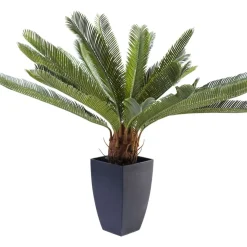 Online Deko Pflanze Cycas Tree 78Cm Deko & Geschenkartikel
