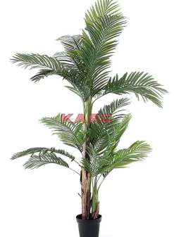 Best Deko Pflanze Palm Tree 190 Deko & Geschenkartikel