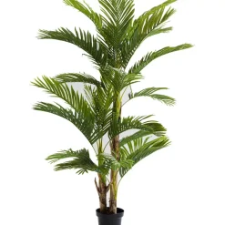 Best Deko Pflanze Palm Tree 190 Deko & Geschenkartikel