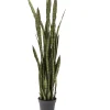 Discount Deko Pflanze Sansewieria 155Cm Deko & Geschenkartikel