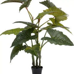 Discount Deko Pflanze Taro 180 Deko & Geschenkartikel