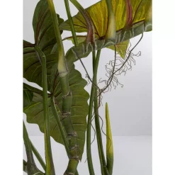 Discount Deko Pflanze Taro 180 Deko & Geschenkartikel