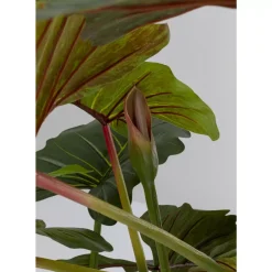 Discount Deko Pflanze Taro 180 Deko & Geschenkartikel