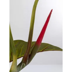 Discount Deko Pflanze Taro 180 Deko & Geschenkartikel