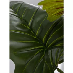 Discount Deko Pflanze Taro 180 Deko & Geschenkartikel