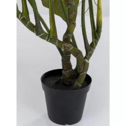 Discount Deko Pflanze Taro 180 Deko & Geschenkartikel