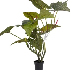 Discount Deko Pflanze Taro 180 Deko & Geschenkartikel