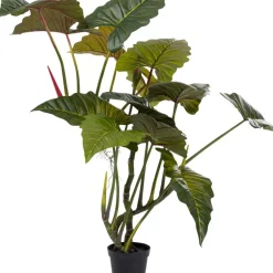 Discount Deko Pflanze Taro 180 Deko & Geschenkartikel