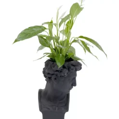 Best Deko Ubertopf David Schwarz Aufbewahrung & Ordnung