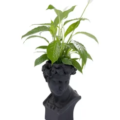 Best Deko Ubertopf David Schwarz Aufbewahrung & Ordnung