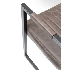 Best Freischwinger Thamos Braun Stühle