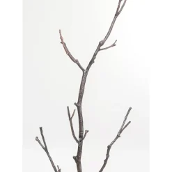 Outlet Garderobenstander Tree Branch 183Cm Kleinmöbel & Sonstiges