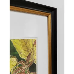 Outlet Gerahmtes Bild Birds In Jungle 80X100Cm Bilder