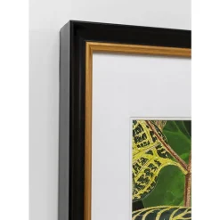 Outlet Gerahmtes Bild Birds In Jungle 80X100Cm Bilder