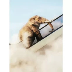 New Gerahmtes Bild Elephant In The Sky 150X100Cm Bilder