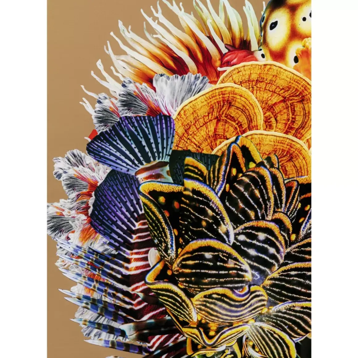 Outlet Gerahmtes Bild Flower Hair 120X120Cm Bilder