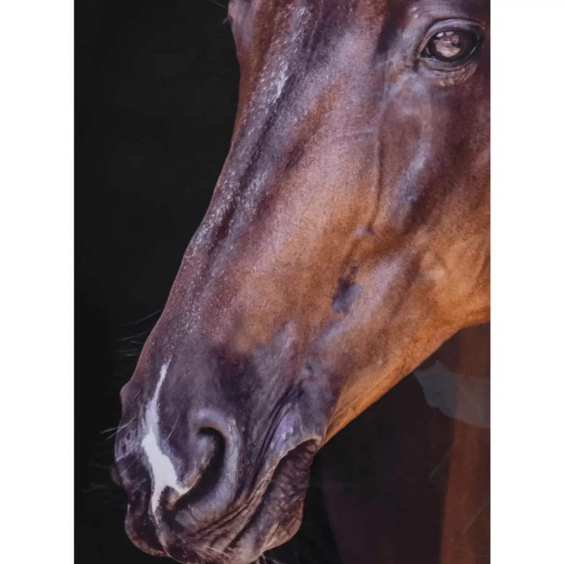 Outlet Gerahmtes Bild Wendy 75X105Cm Bilder