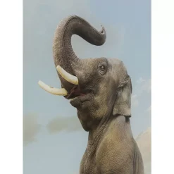 Best Glasbild Balance Elephant 150X100Cm Bilder